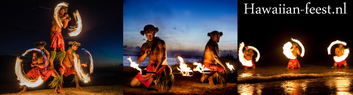 Kauai dansers